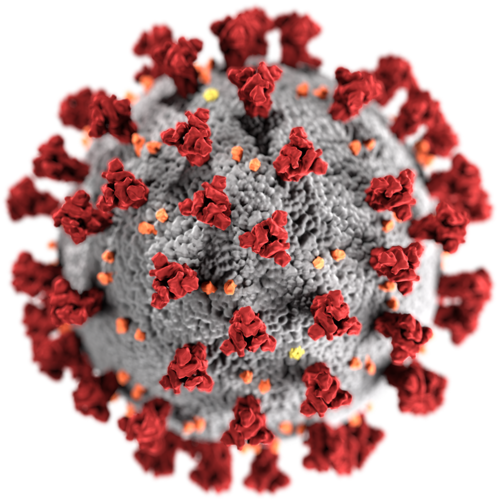 The coronavirus.