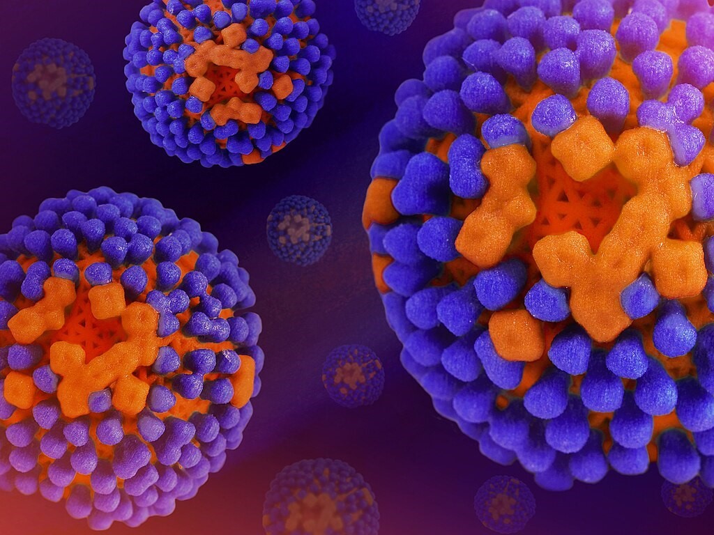 The flu virus.