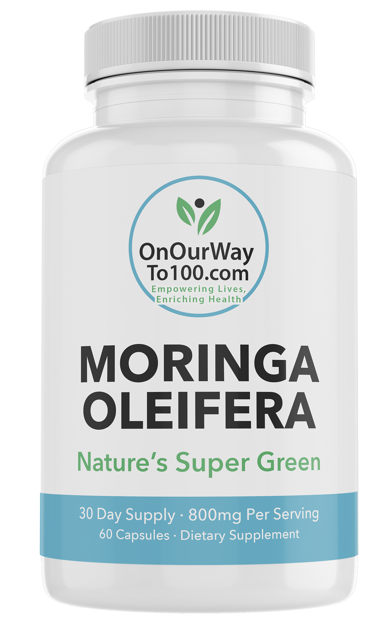 MORINGA OLEIFERA